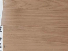 ABS Kapılarla Bağlantıyı Güçlendiriyor